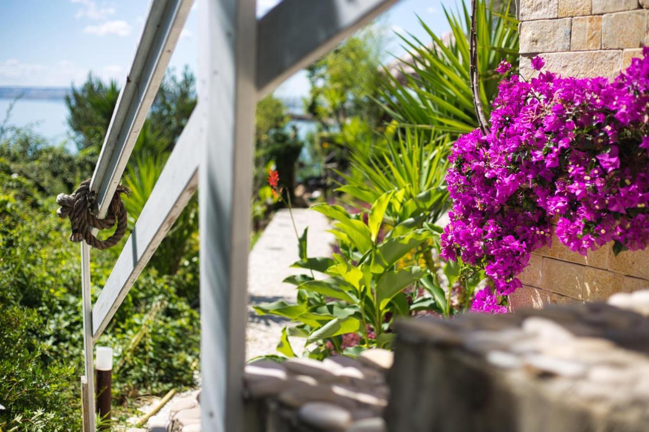 Residenze Longhi Bed & Breakfast Васто Екстериор снимка